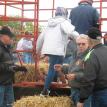 Club Hayride 10/09